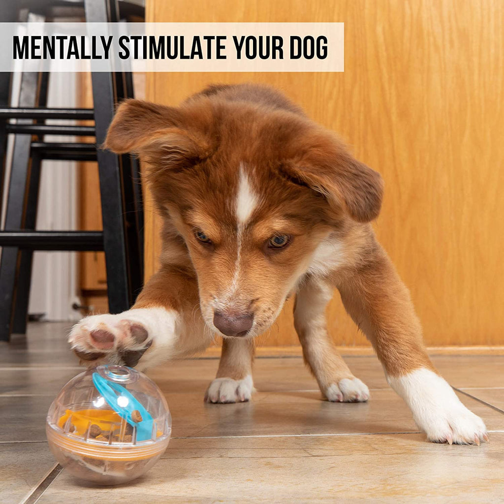 Pet Zone - IQ Treat Ball - Activity Treat Dispenser - 4 M - L Size Dogs -  New