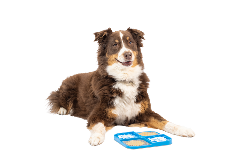 Hyper Pet IQ Treat Mat, Dog Lick Mat & Fun Alternative to Slow Feeder Dog Bowls